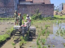 Babinsa Bondoyudo Dampingi Petani Olah Lahan, Dukung Produktivitas Pertanian